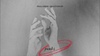 Paul Ursin - Reverse